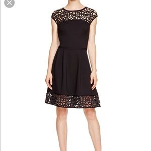 NAVY Lauren by Ralph Lauren Fit and Flare Dress